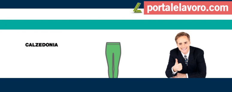 ASSUNZIONI CALZEDONIA, INTIMISSIMI, TEZENIS E FALCONERI