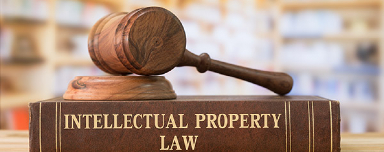 Tirocini WIPO – Agenzia Protezione Proprietà Intellettuale